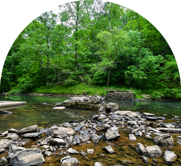 River view with rocks and lush trees.